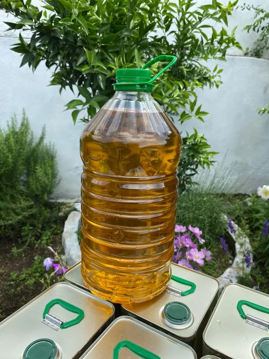 Zeytin Yağı